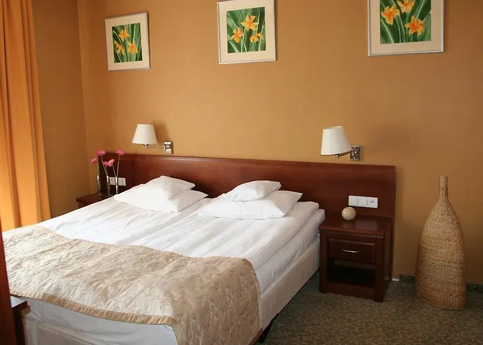 Hotel Centuria Hotel & Natural Spa 3*